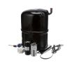 Compressor - Bristol - 208-230V/60 Hz/1 Ph - USE UP