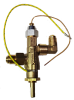 Gas Valve, TPG
