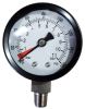 Pressure Gauge 2", 1/8" lm 125 PSI SS
