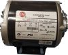 Motor for pump